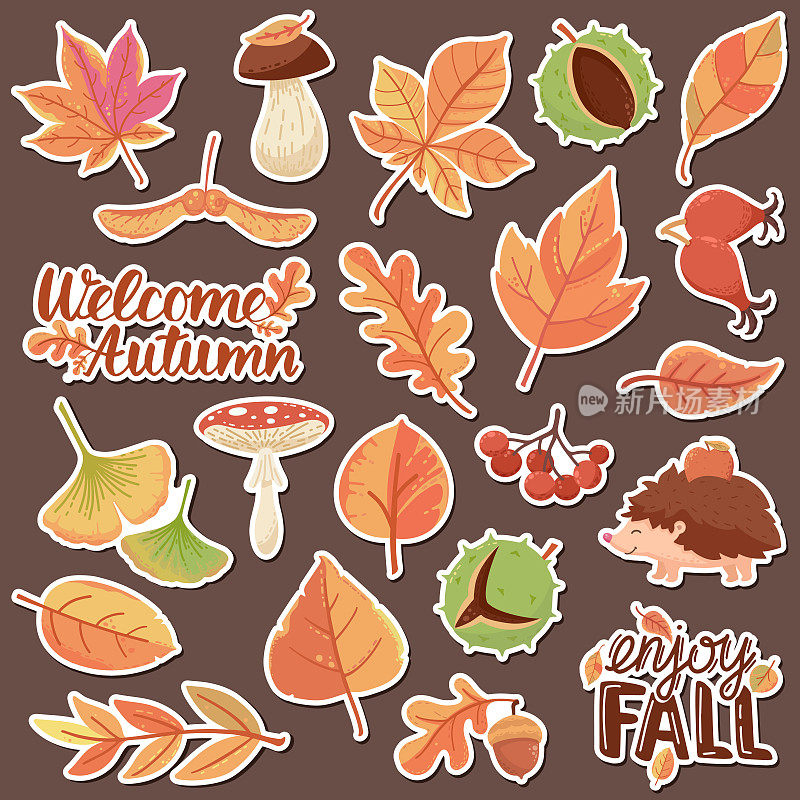 Large collection Vector Fall ICONS, Fall Stickers: Leaves, Mushrooms, hedgehog, chestnut, oak Acorn, Rose hip, Viburnum, Rowan, Maple seed, Apple. Appreciate autumn, welcome autumn lettering. Large collection